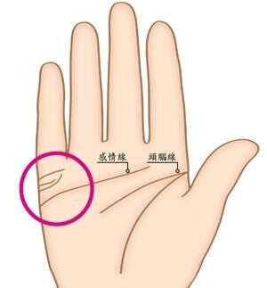 旺夫相女人手相特征 女性旺夫手是怎么样的 旺夫相女人手相特征 女性旺夫手是怎么样的